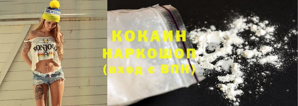 гидропоника Новозыбков