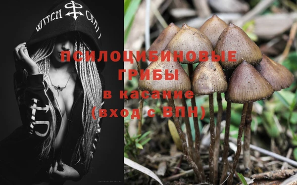 прущие крисы Апатиты