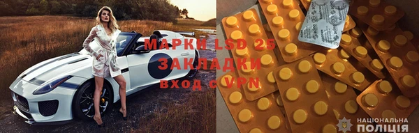 гидропоника Новозыбков