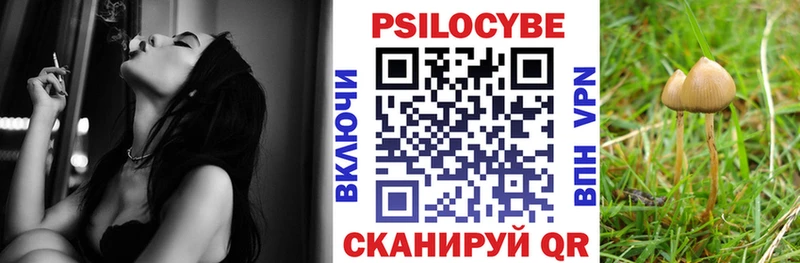 Псилоцибиновые грибы прущие грибы  kraken как войти  Королёв  купить  